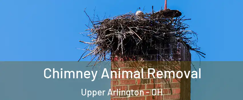  Chimney Animal Removal Upper Arlington - OH