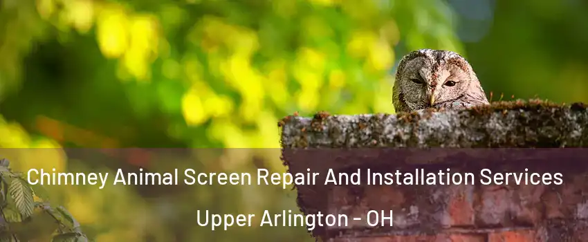  Chimney Animal Screen Repair And Installation Services Upper Arlington - OH