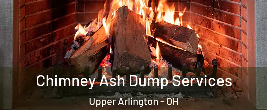  Chimney Ash Dump Services Upper Arlington - OH