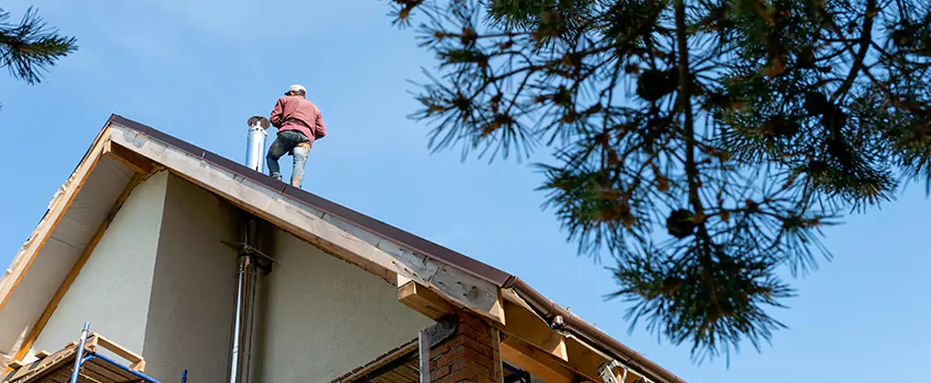 Birds Removal Contractors from Chimney in Upper Arlington, OH