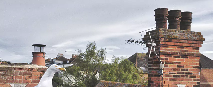 Chimney Cleaning And Restoration in Upper Arlington, Ohio